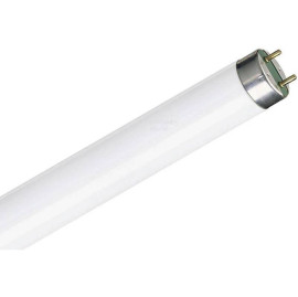 ΛΑΜΠΑ ΦΘΟΡΙΣΜΟΥ Τ8 36w 1,20cm 6000k ΨΥΧΡΟΥ ΦΩΤΙΣΜΟΥ